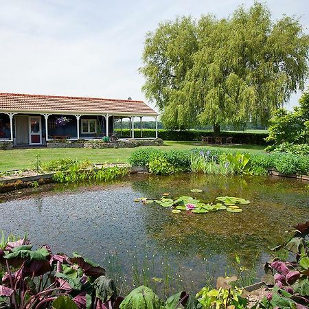 Inge'S Cottage Bergen op Zoom Ngoại thất bức ảnh